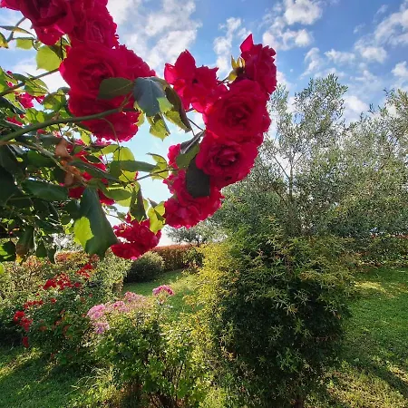 Nature's Symphony Apartamento Sečovlje
